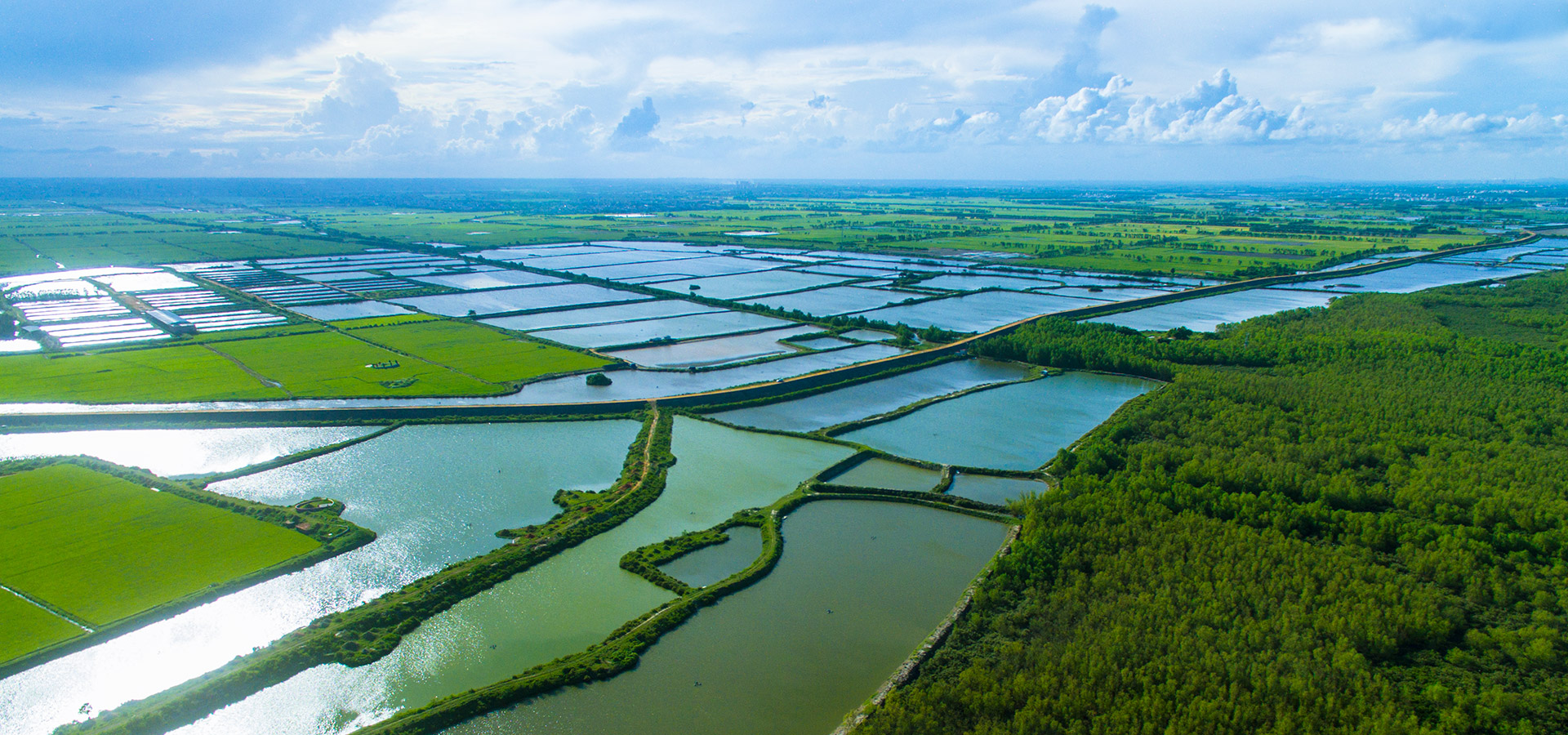 湿地与生物多样性保护